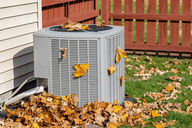 Best HVAC Contractors  in Carey, ID